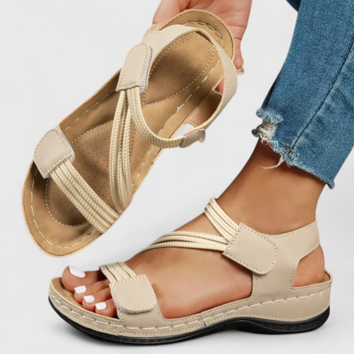 Immagine diapositiva