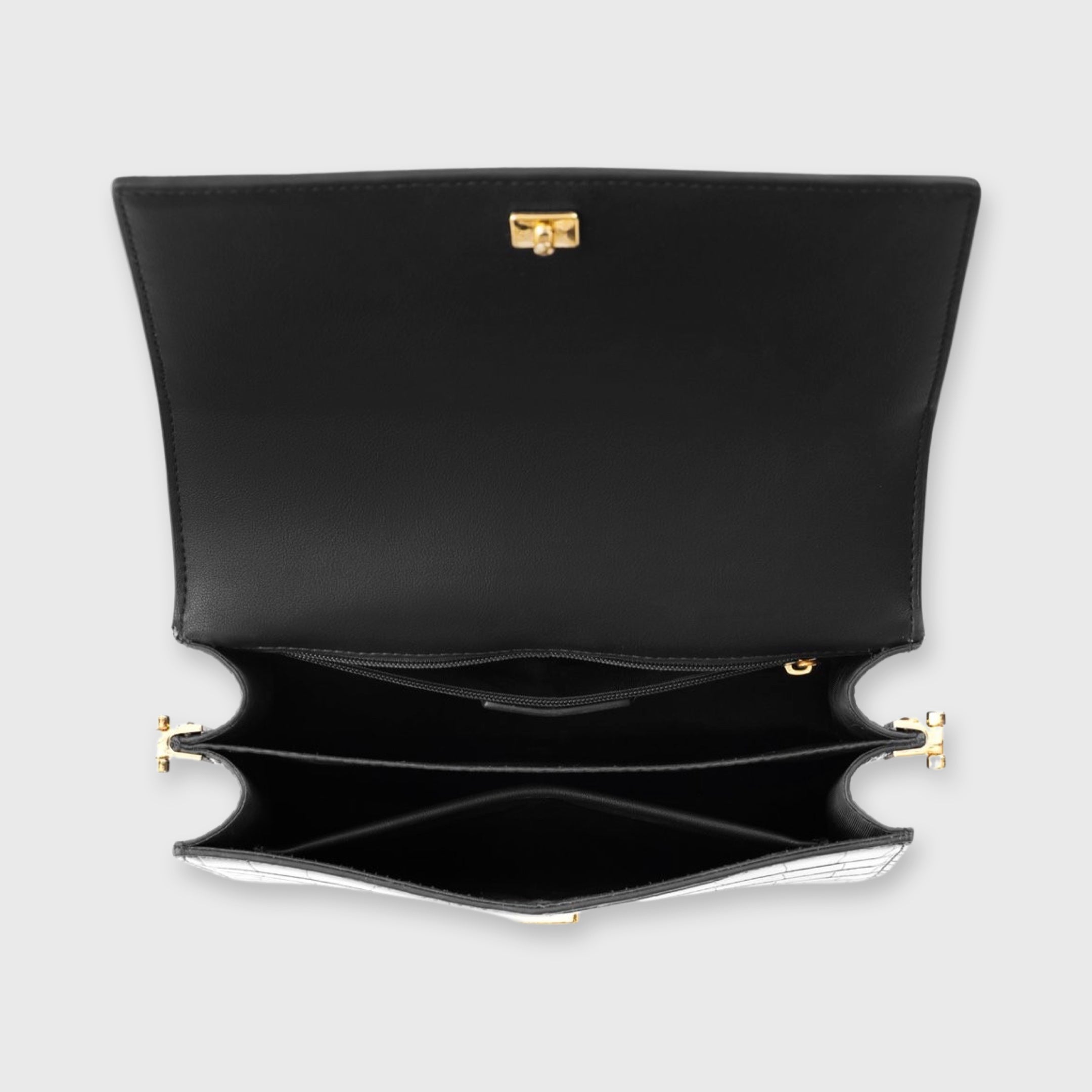 Immagine diapositiva