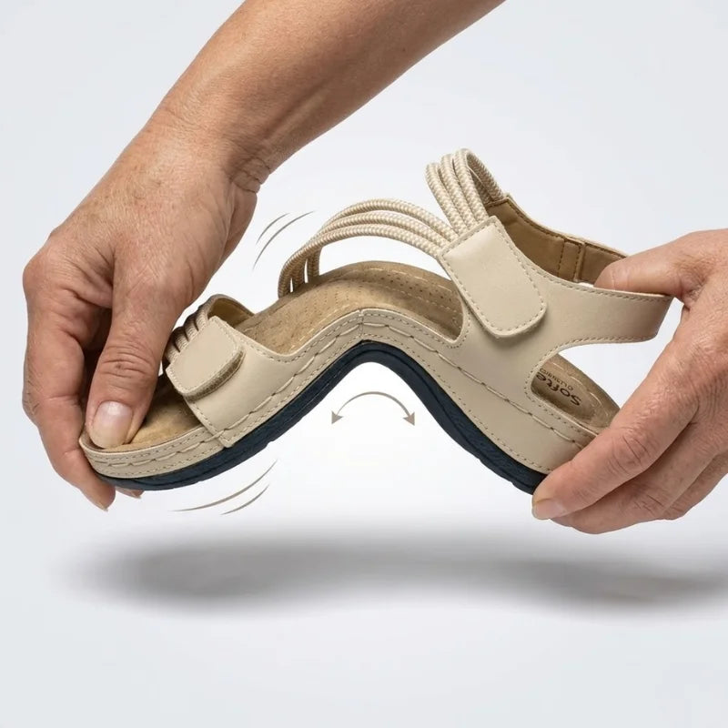 Immagine diapositiva