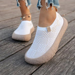 Immagine diapositiva