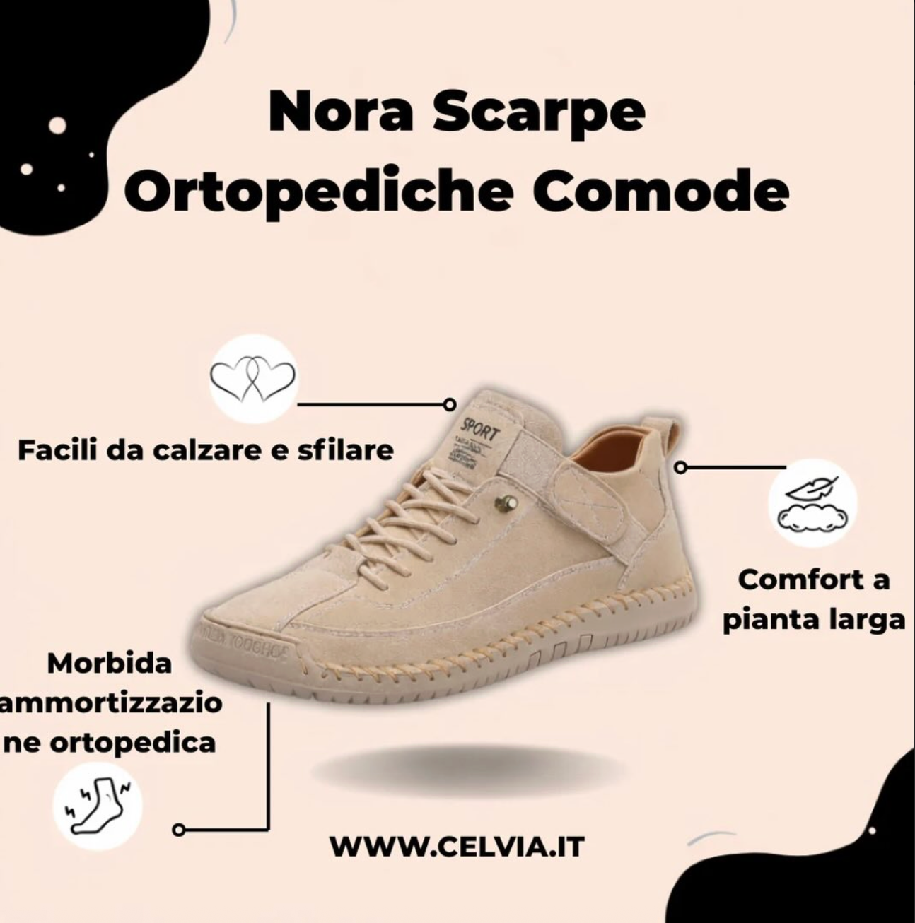 Immagine diapositiva