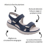 Immagine diapositiva