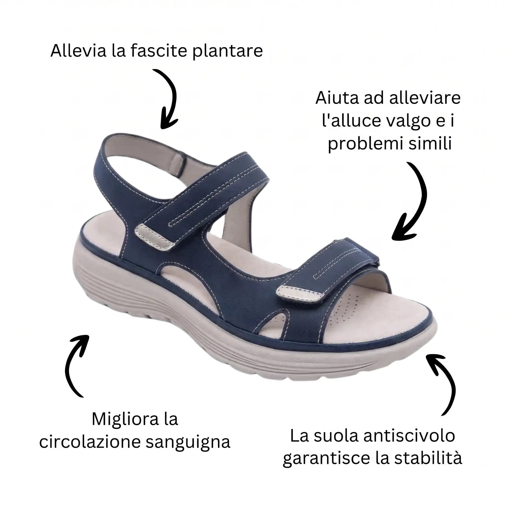 Immagine diapositiva
