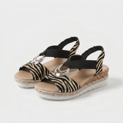 Zebra Classico