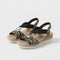 Zebra Classico