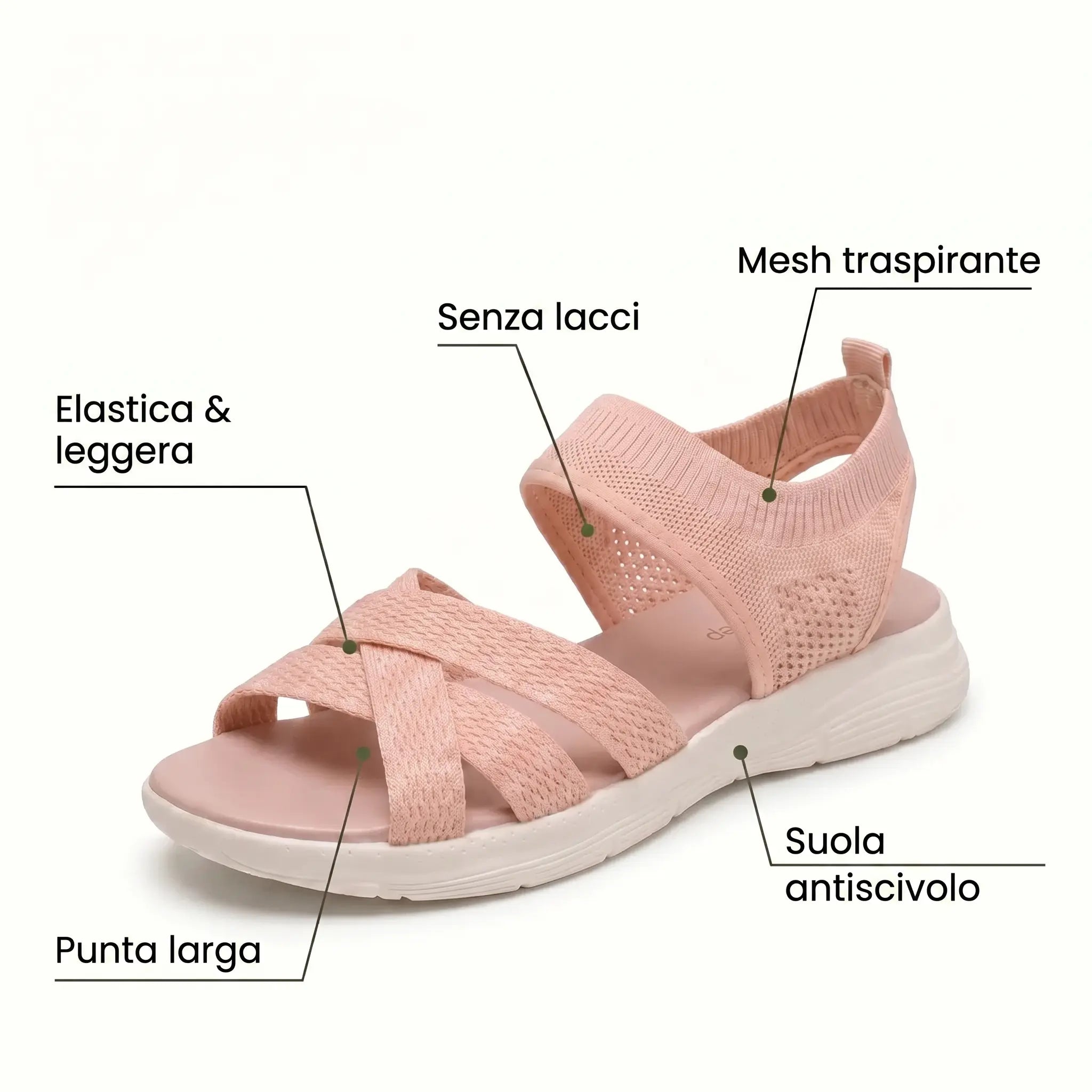 Immagine diapositiva