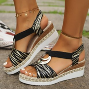 Zebra classica