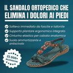 Immagine diapositiva