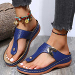 Immagine diapositiva